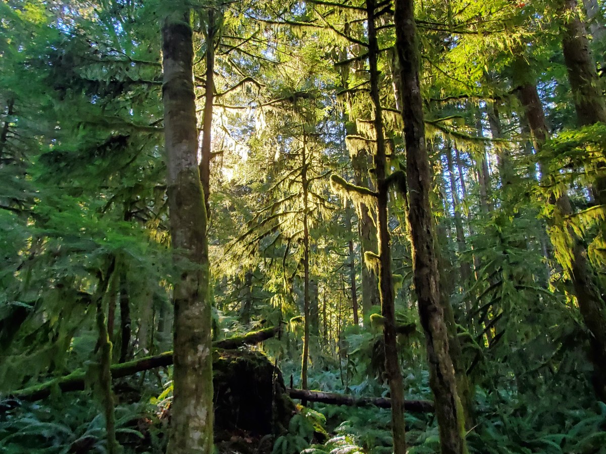 Introducing ‘Poetry That&nbsp;Fits’