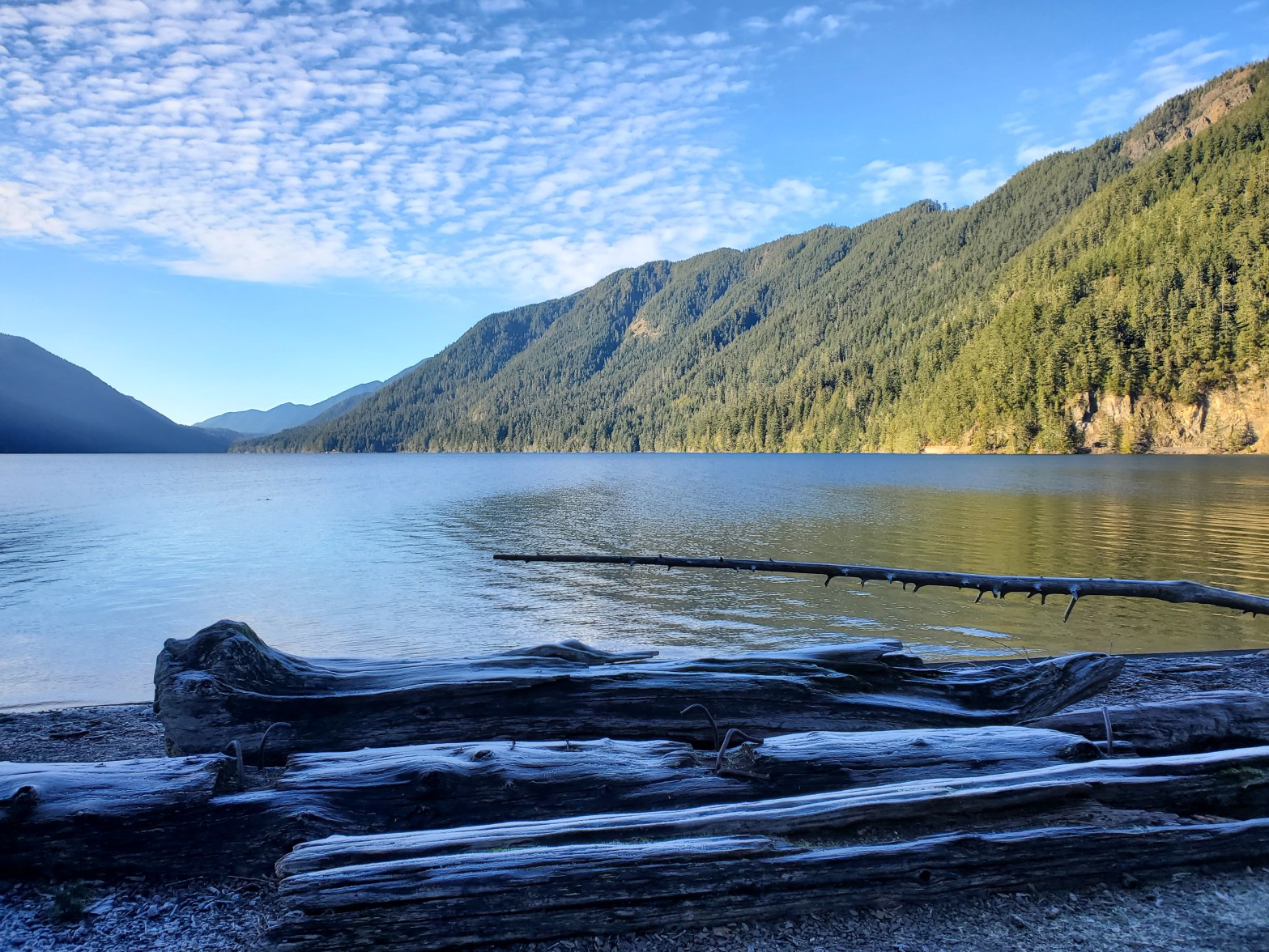 Frosted logs in front of Lake Crescent and surrounding mountains.